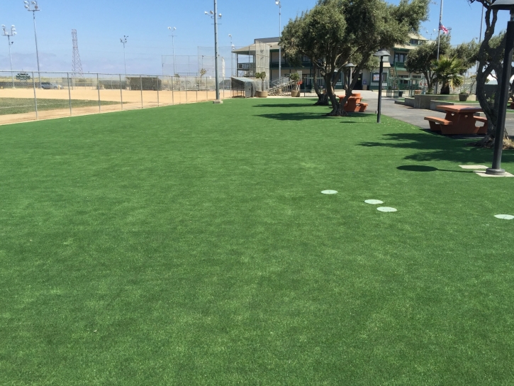 Artificial Grass Simonton, Texas Landscape Ideas, Recreational Areas