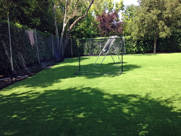 Artificial Grass Sports Applications Canyon Lake Texas Back