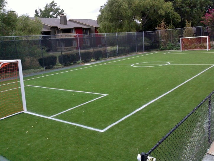 Artificial Grass Sports Applications Driftwood Texas Commercial