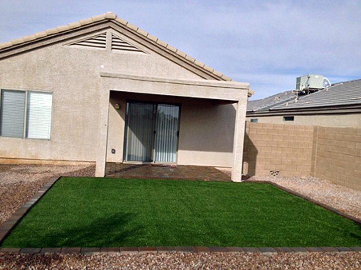 Artificial Pet Grass Chilton Texas for Dogs Back Yard