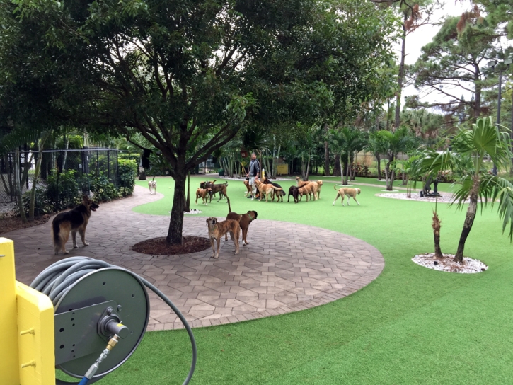 Artificial Pet Grass Golinda Texas for Dogs Commercial Landscape
