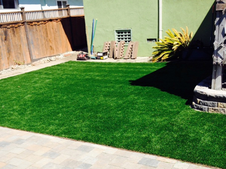 Artificial Pet Grass Kingsland Texas for Dogs Back Yard