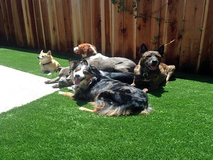 Artificial Pet Grass La Coste Texas for Dogs