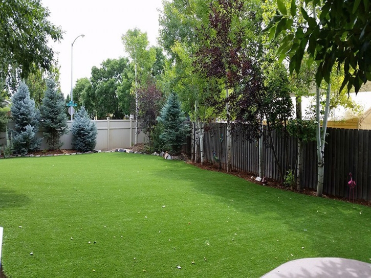 Artificial Pet Grass Lakehills Texas for Dogs Back Yard