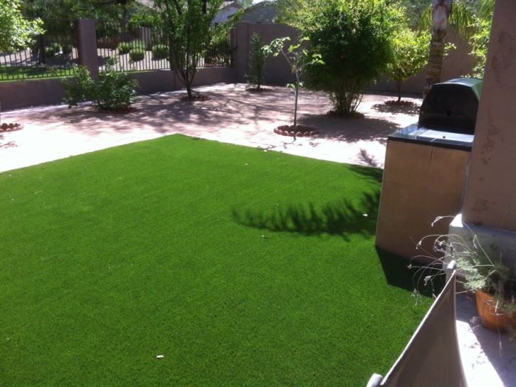 Artificial Pet Grass Millican Texas for Dogs