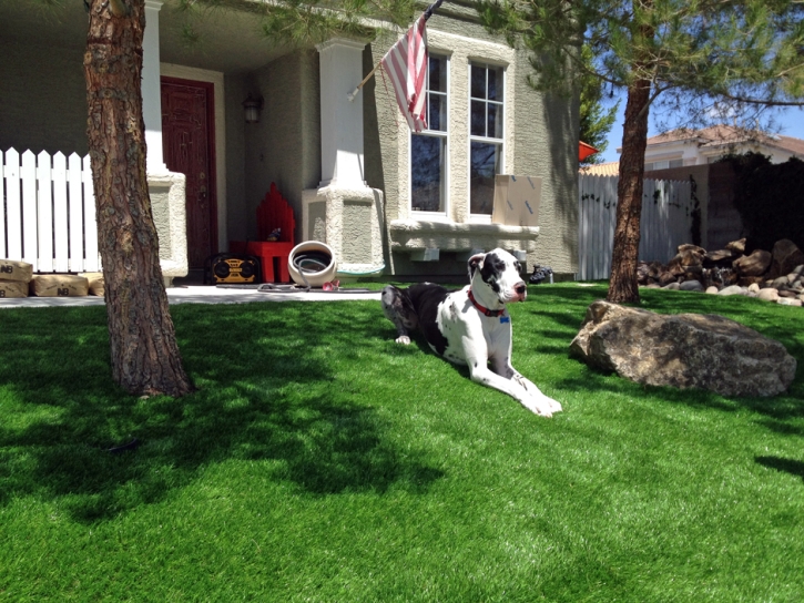 Artificial Pet Grass Smithville Texas Installation Dogs