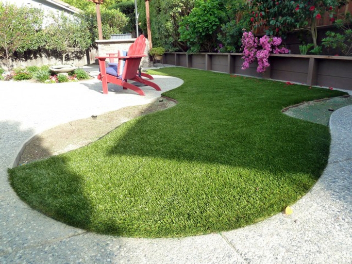 Artificial Pet Turf Blue Ridge Texas Installation