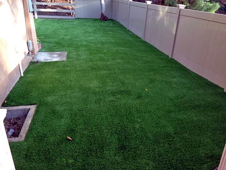 Artificial Pet Turf Bruceville-Eddy Texas Installation Back