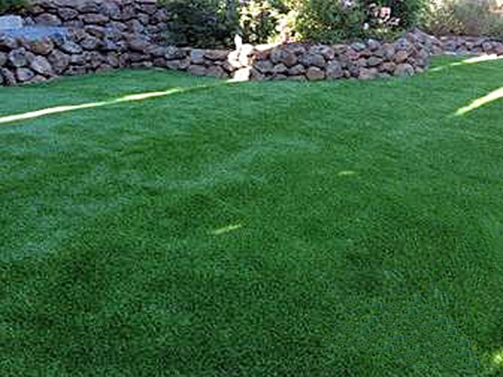 Artificial Pet Turf Highland Haven Texas for Dogs Back Yard