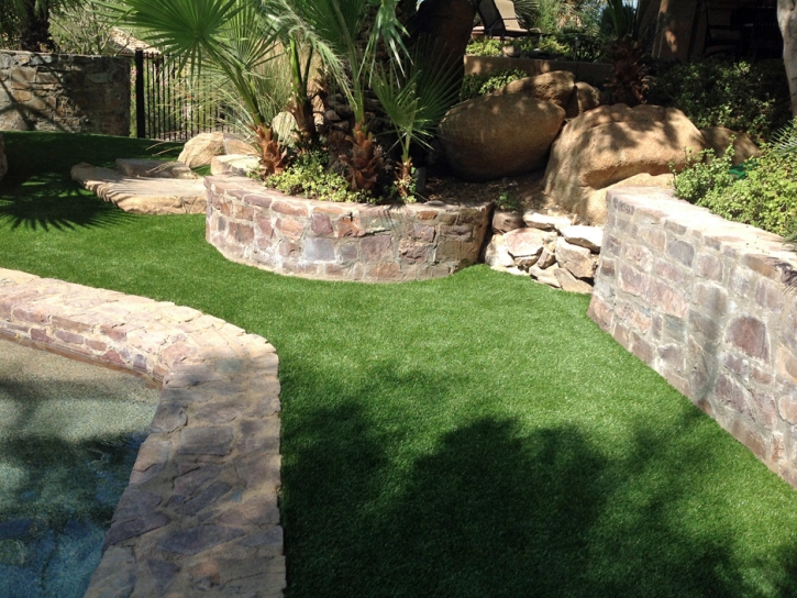 Artificial Pet Turf Schertz Texas for Dogs Swimming Pools