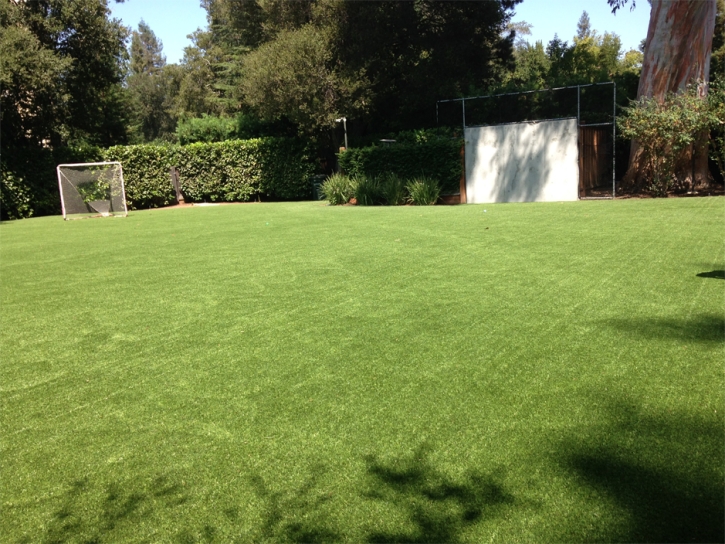 Artificial Turf Sports Applications Milano Texas Back Yard