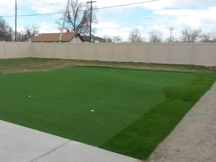 Best Artificial Grass Leming, Texas Best Indoor Putting Green, Backyard Design
