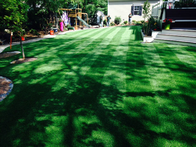 Fake Lawn East Bernard, Texas Landscape Ideas, Small Backyard Ideas