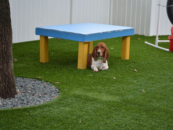 Fake Lawn San Felipe, Texas Grass For Dogs, Dogs Runs