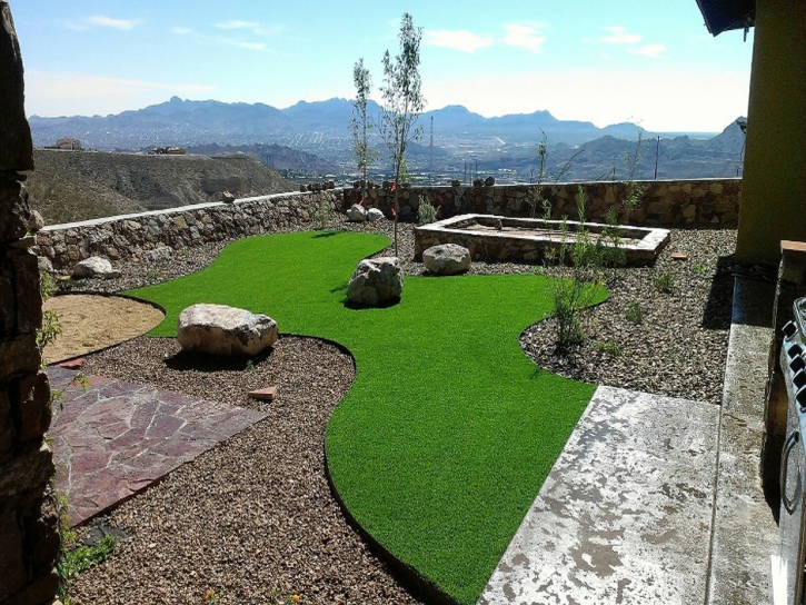 Fake Pet Grass Kingsbury Texas for Dogs Back Yard