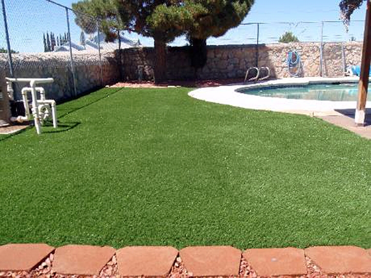 Fake Pet Grass Moody Texas Installation Swimming Pools