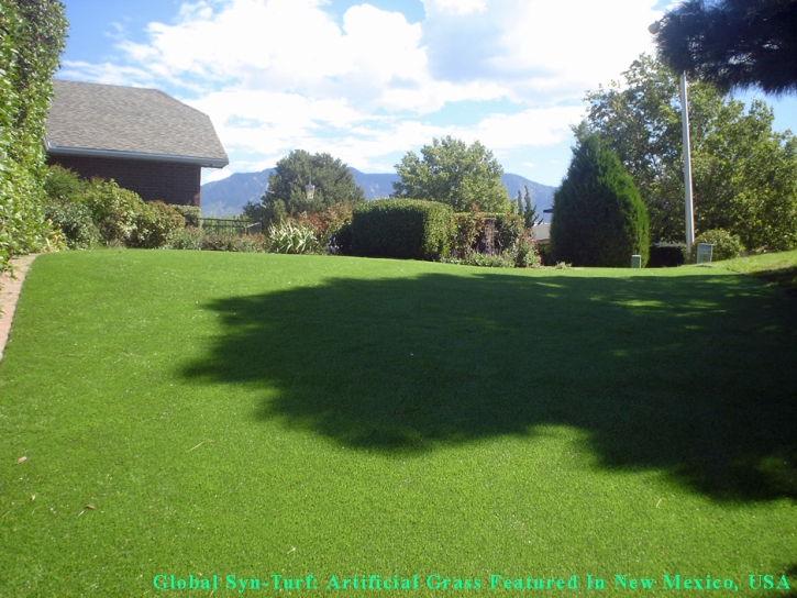 Fake Pet Grass Sunset Valley Texas Installation Back Yard