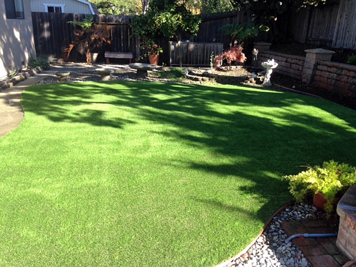 Fake Pet Grass Yorktown Texas Installation Back Yard