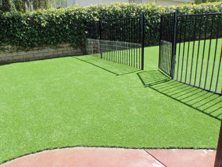 Fake Pet Turf Ames Texas Installation Front Yard