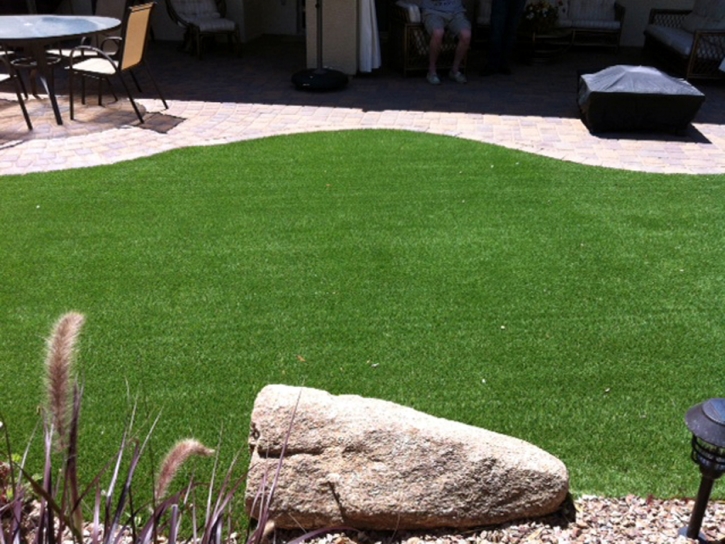 Fake Pet Turf Temple Texas Installation Pavers Back Yard