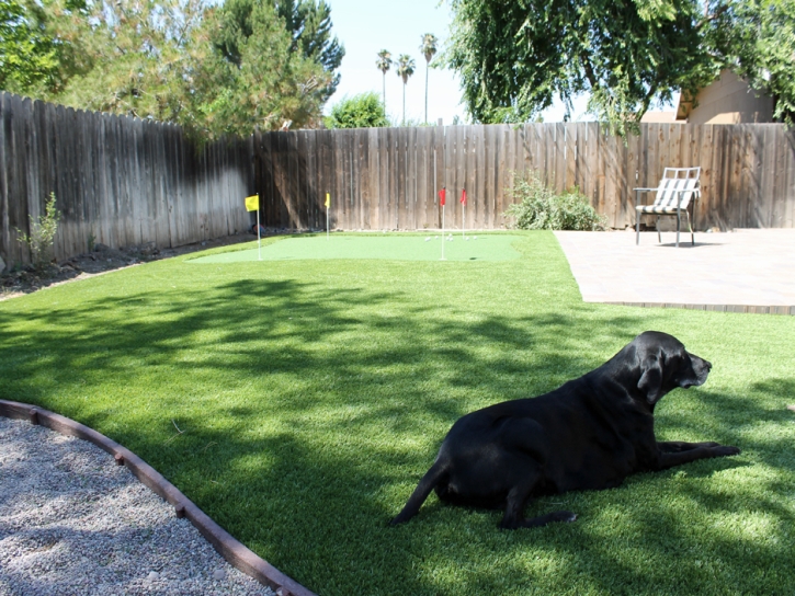 Fake Pet Turf Wixon Valley Texas for Dogs