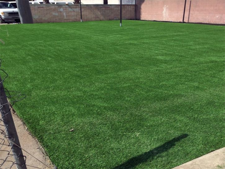 Fake Turf Sports Applications Granite Shoals Texas