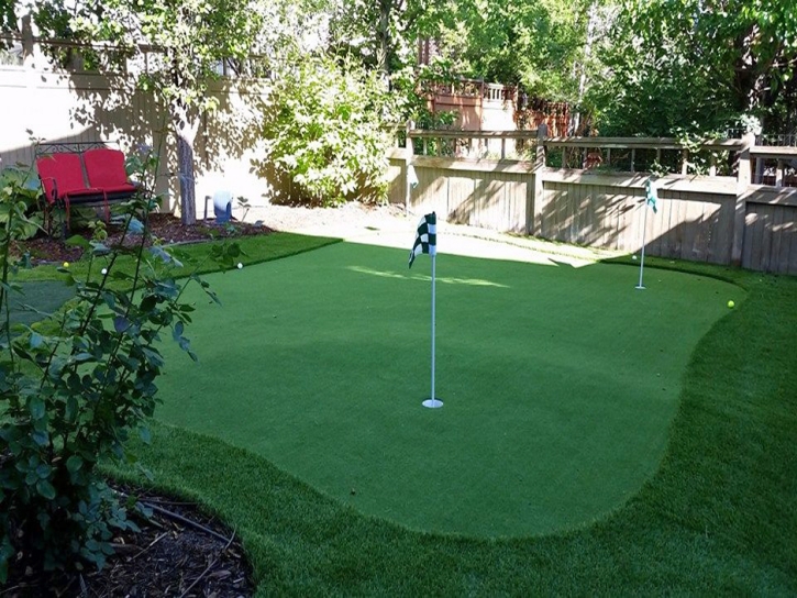 Golf Putting Greens Ames Texas Synthetic Grass Back Yard