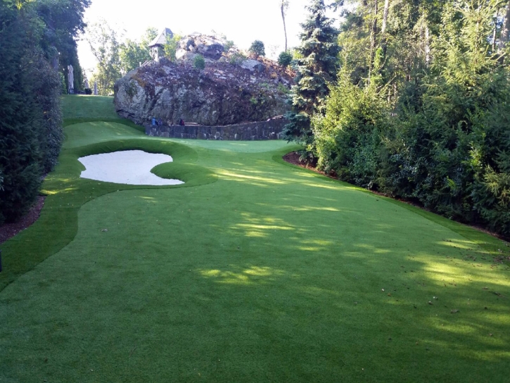 Golf Putting Greens Brushy Creek Texas Artificial Grass Commercial