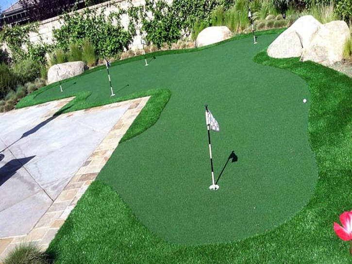 Golf Putting Greens Fort Gates Texas Synthetic Grass Back