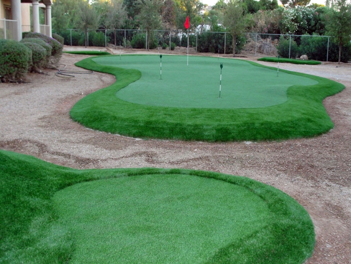 Golf Putting Greens Manor Texas Synthetic Turf Back Yard
