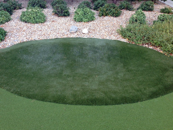 Golf Putting Greens Round Top Texas Artificial Grass
