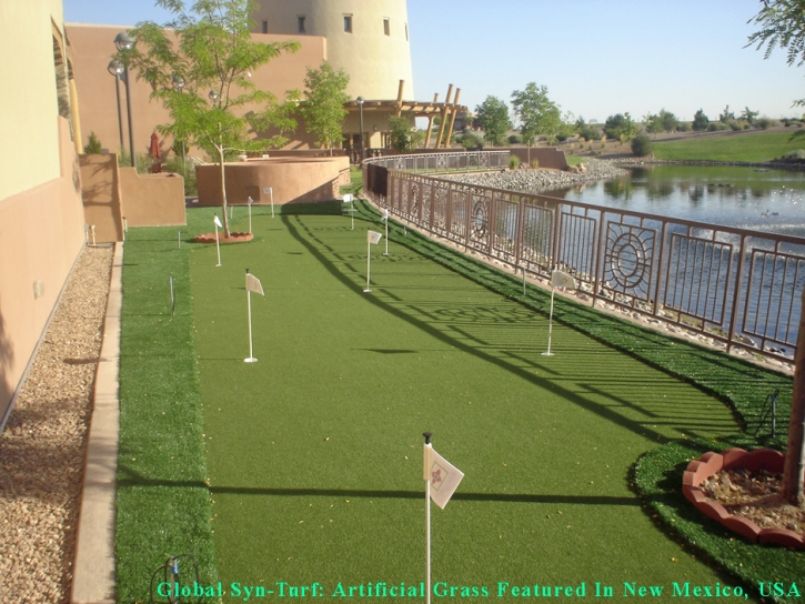 Golf Putting Greens Sunset Valley Texas Synthetic Grass Back