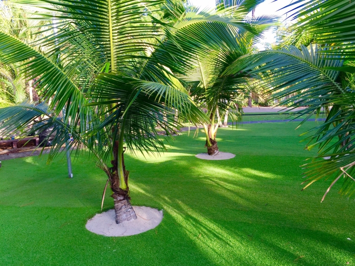 Grass Carpet Eagle Lake, Texas Lawn And Garden, Commercial Landscape