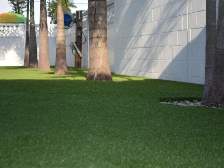 Grass Carpet Valley Mills, Texas Rooftop, Commercial Landscape