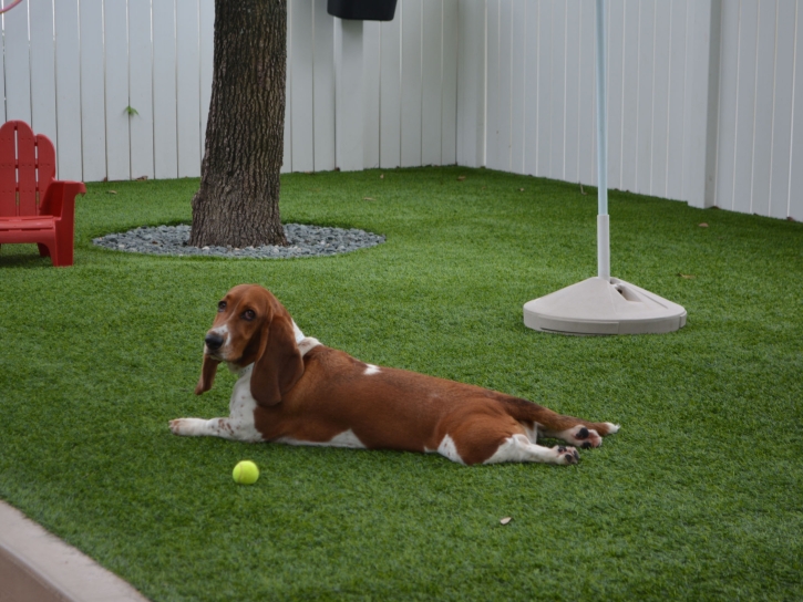 Grass Installation Prairie View, Texas Hotel For Dogs, Grass for Dogs