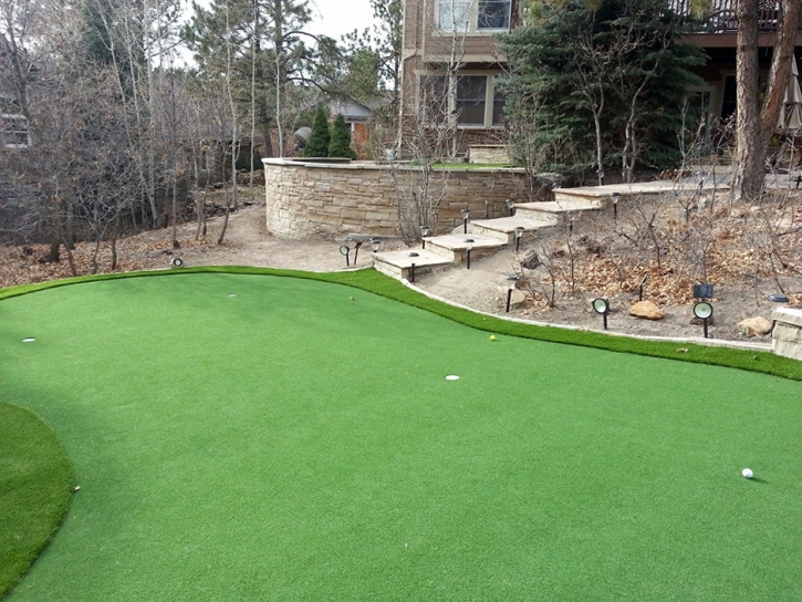 Putting Greens Golinda Texas Artificial Turf Back Yard