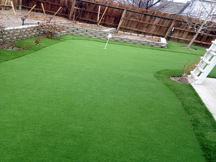 Putting Greens Hewitt Texas Synthetic Grass Back Yard