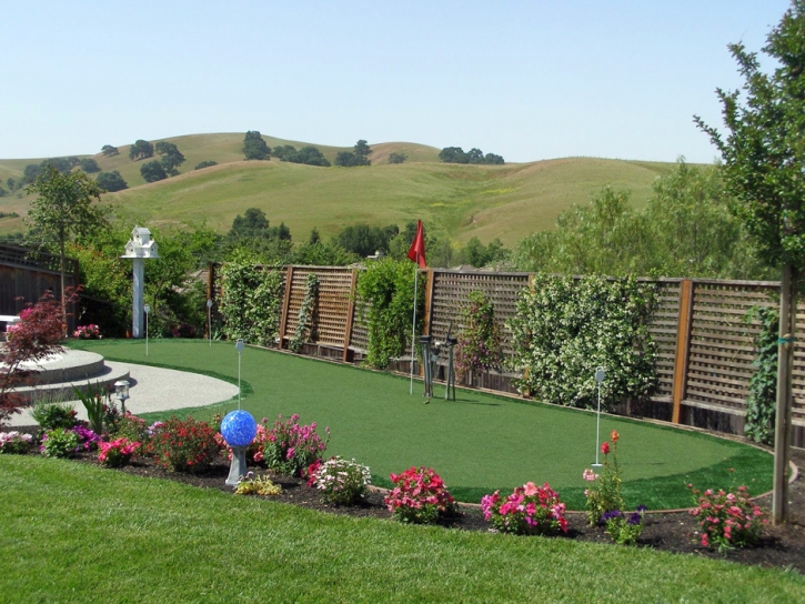 Putting Greens Industry Texas Artificial Grass Back Yard