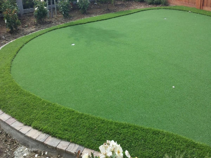 Putting Greens Lakehills Texas Artificial Grass Back Yard