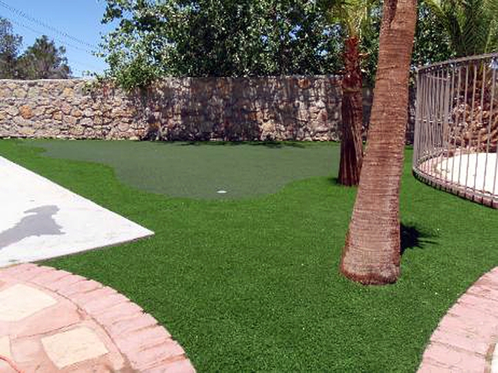 Putting Greens Lometa Texas Artificial Grass Back Yard