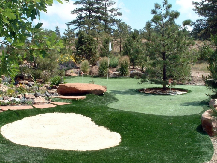 Putting Greens McGregor Texas Fake Grass Back Yard