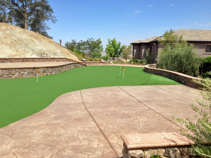 Putting Greens Moulton Texas Synthetic Grass Back Yard