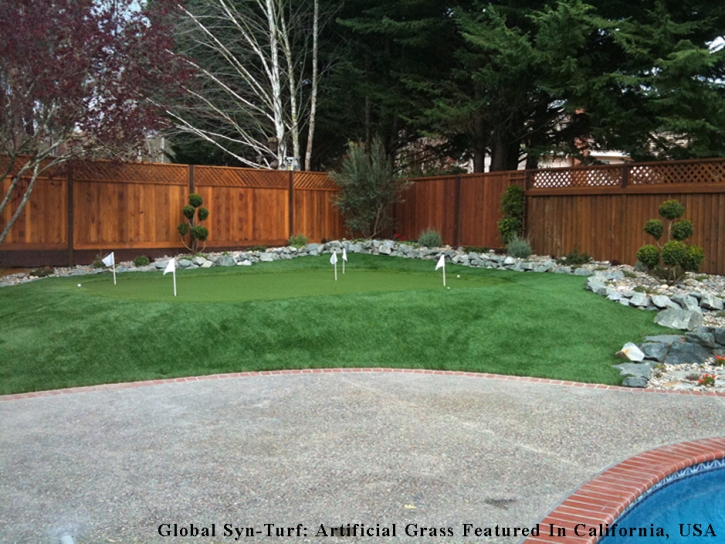 Putting Greens San Leanna Texas Synthetic Turf Back Yard