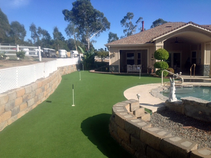 Putting Greens Weimar Texas Synthetic Turf Back Yard