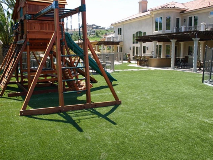 Synthetic Grass Lakeway Texas Playgrounds Back Yard