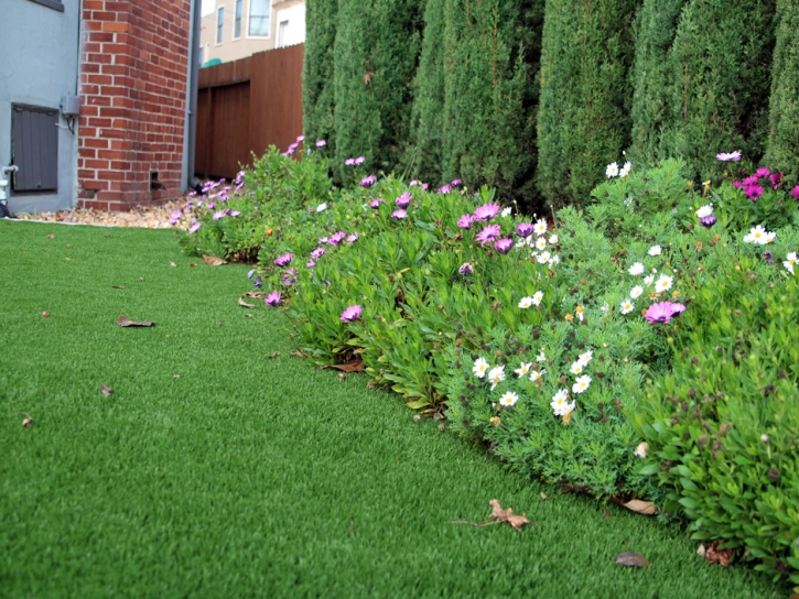 Synthetic Grass Oglesby Texas Landscape Front Yard