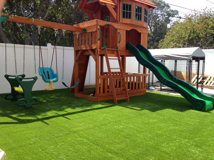 Synthetic Grass Redwood Texas Playgrounds Back Yard