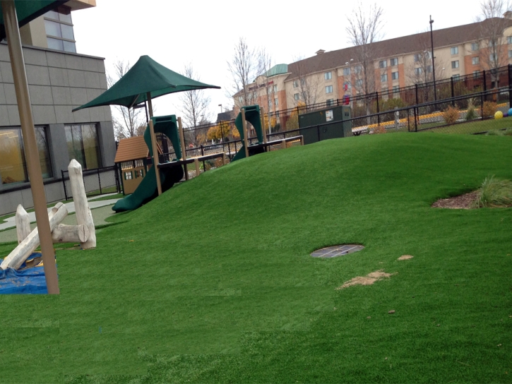 Synthetic Grass Shavano Park Texas Kids Safe Commercial