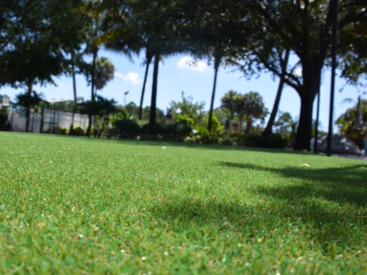 Synthetic Lawn Runge, Texas Landscape Ideas, Recreational Areas