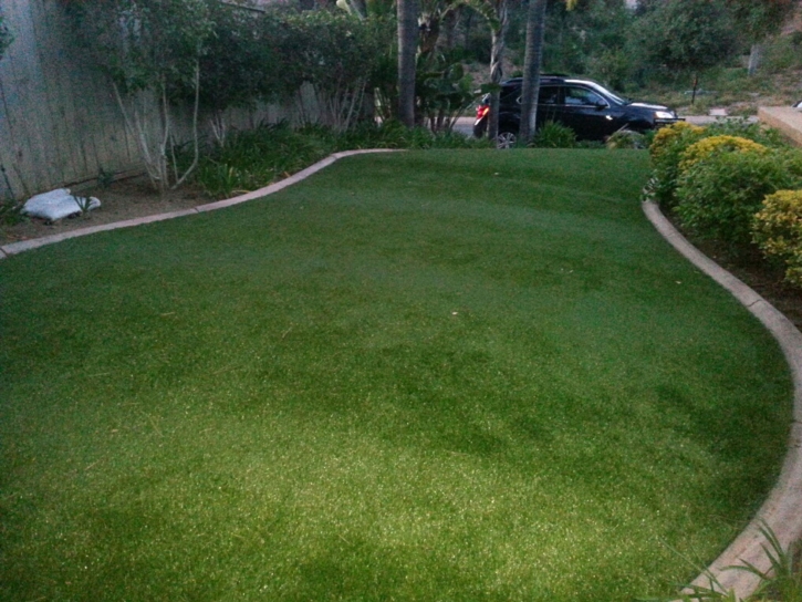 Synthetic Lawn Wallis, Texas Garden Ideas, Small Front Yard Landscaping